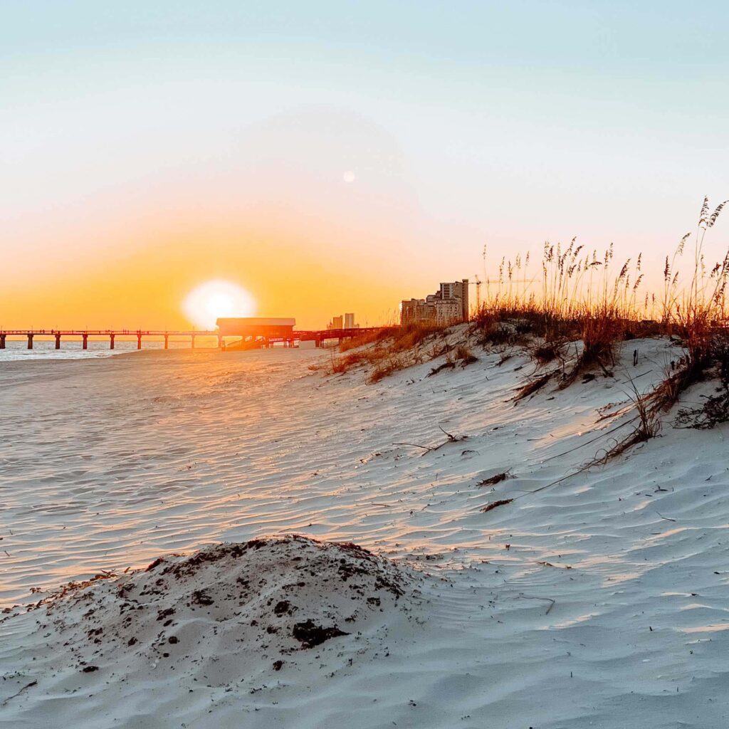 South-for-the-Winter-Cropped